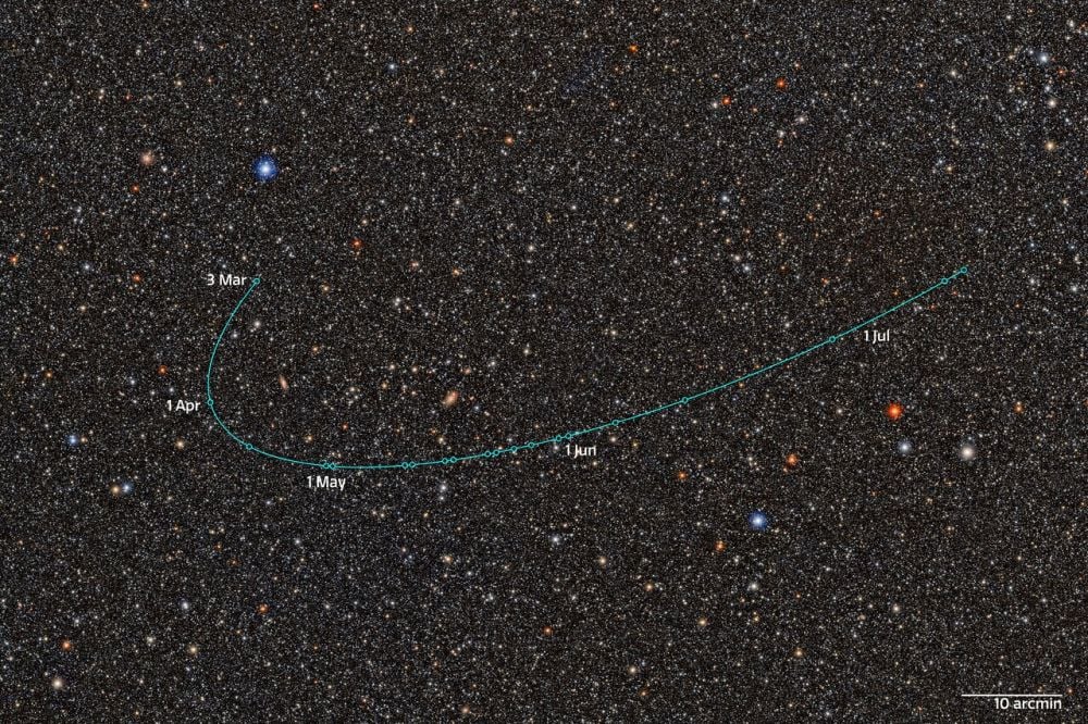 The Rubin Observatory Finds Its First Dwarf Planet Candidate